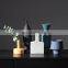 Nordic INS Morandi Style Figurines Frosted Creative Design Model Home Flowers Decorative Ornament Abstract Ceramic Vase