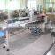 Horizontal pillow ice lolly packaging machine ice cream automatic packing machinery