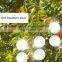 Hanging Light Reflective Bird Repellent Discs to  Scare Birds Away
