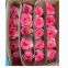 Direct Farm Supply Wholesale Real Touch Fresh Cut Rose Flower for Wedding Decoration