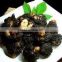 Seafood Dried Laver (Porphyra) for sale