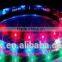 IP65 60LED/M New High quality LED