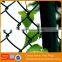 High Quality galvanized chain link fence wire mesh