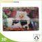 Eco-friendly UV printable Prmotion PP cheap plastic placemats