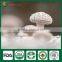 Nutritious Shiitake,White Flower Shiitake Mushroom Planter