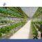 Hydroponics Tower for vegetable Greenhouse
