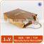 Small packaging underwear apparel small paper bag logo printing