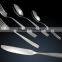 factory direct Qana stainless steel cutlery set with mirror polish for Eruope market