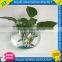 hot sell high transparent wall acrylic fish tank