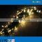Pretty 100 led 12v fairy string lights warm white for decoration