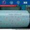 Prepainted Galvanized Steel Coil/PPGI/Colored Steel Coil