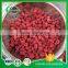 Fast Delivery Freeze Dried Raspberry