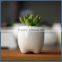 Cute mini tooth shape porcelain succulent planter pots