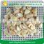 blanched apricot kernels