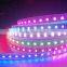 2015 Fashion colors dream color led strip lighting