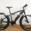 2016 Popular 250W 36V Fat Tire Electric Bike for Eurpean Market ( HJ-M21 )