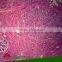 Excellent Zoology Microscope Histology and Embryo Study Prepared Slides