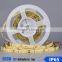 DC12V Blue yellow red warm white epistar smd 5630 led strip