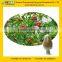 GMP Factory Supply Hawthorn Fruit/Leaf Extract