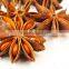 Anise / Aniseed / Star Anise / Star aniseed from Vietnam - Best quality & good price
