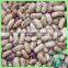 New Crop Pulses/Light Speckled Kidney Beans