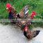 creative simulation wholesale chicken figurines