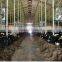 Cattle Equipment 6 Blades Factory Exhaust Fan