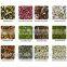 ANYSORT Multifunction Cloud Color Sorter Machine