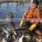 Floating fish feed extruder/fish feed mill