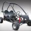 Teenager 110cc PGO buggy