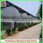 Hot sale single/multi-span agricultural plastic houses with best price