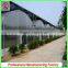 Plastic Film Commercial Greenhouse for Tomatoes With Arched Type