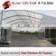 Large Customized tent canopy for sale