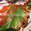 Home and outdoor garden table wedding christmas decoration 60cm or 2ft Height artificial colorfully maple leaf E06 0655