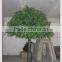 SJ11 Artificial banyan tree manufacturer in Guangzhou