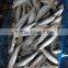 Frozen Sardine Fish