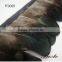 Hot sale 6cm top quality feather trim for sale