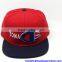 Gold supplier Custom Logo Snapback Hats Wholesale