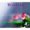 3mm-6mm Clear Pattern Glass