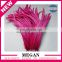 Factory wholesale white decoration chicken feather for party