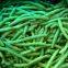 Frozen Green Bean Whole