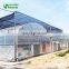 SHINEHWA Low cost commercial film cover greenhouse,plastic film greenhouse for agriculture farming