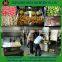1200pcs/h capacity Kiwi pineapple  fruit peeling machine/pumpkin peeler
