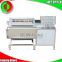 Multifunctional meat spareribs cleaning machine automatic fruit and vegetable washing machine bubble cleaning machine vegetable cleaning equipment