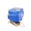 with position indicator brass ss304 cr04 cr02 cr05 NPT BSP CWX-25S 12v 2-way motorized motor valve