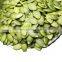 2022 china Dried green pumpkin seeds kernel for sale export online trade