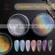 Bulk Wholesale Fine Mirror Effect Holographic Magnet Pigment for Nail Art, Cosmetics and Car Paint