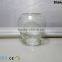 550ml Clear Round glass Vase/home Decoration Flower Vase