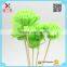 2016 Hand-Made Sola Wood Flower for Aroma Reed Diffuser
