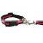 Berry Factory Running Elastic Nylon Bungee Dog Collars and Leads
